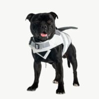 Orthopedic Dog Bed - Imagen 4