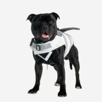 Steel Dog Fod - Imagen 5