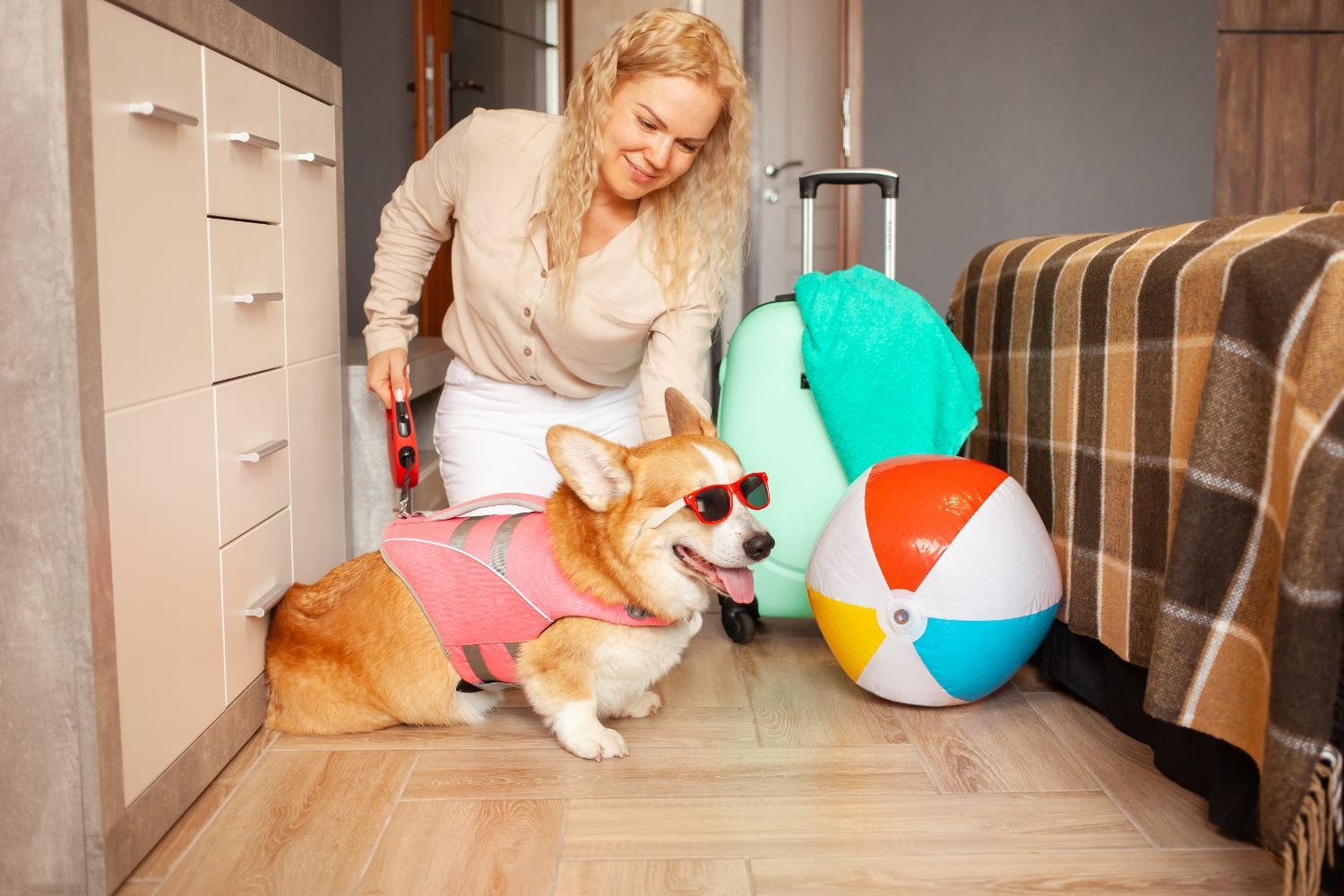 How Dog Hotels Promotes Happiness