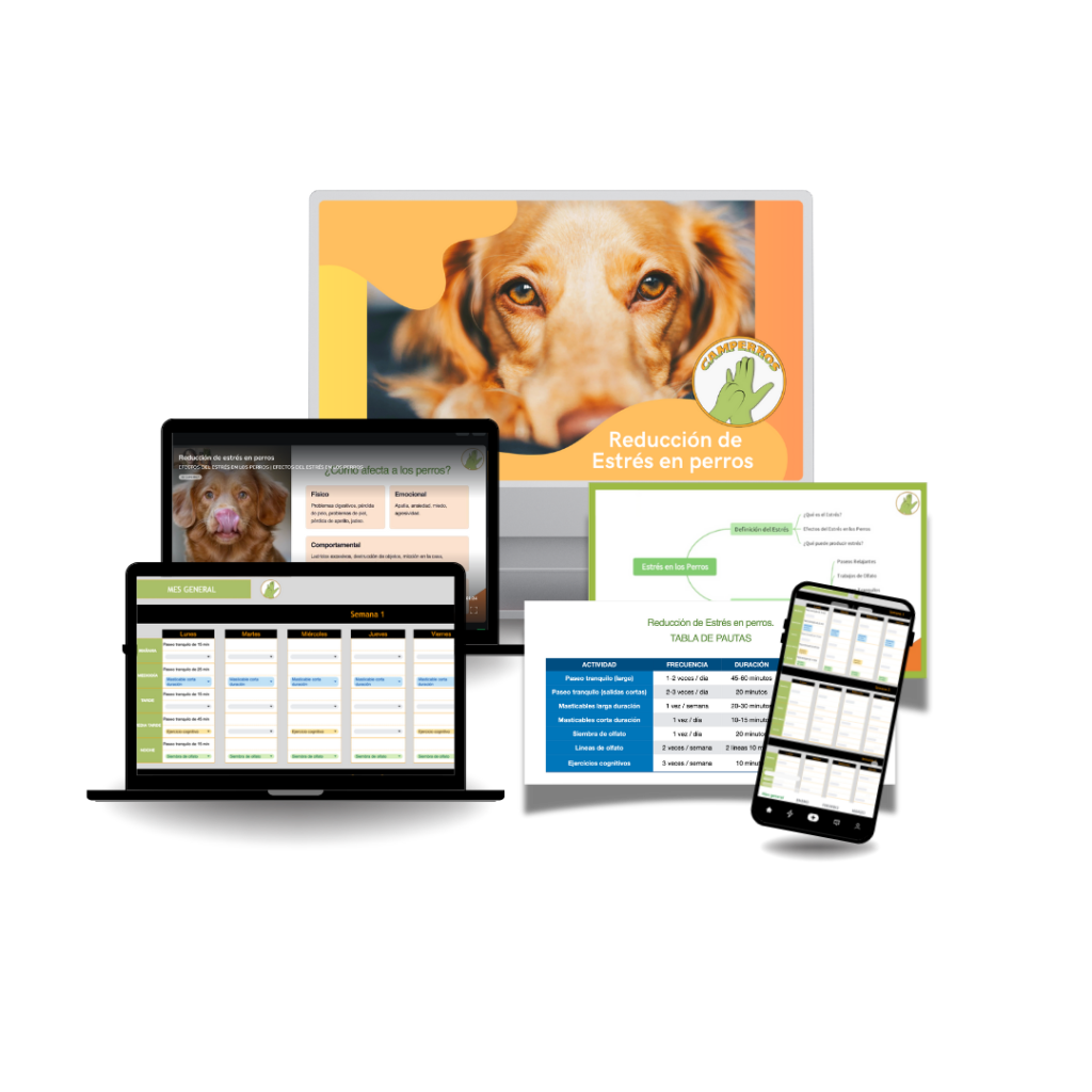 Curso reducción de estrés en perros